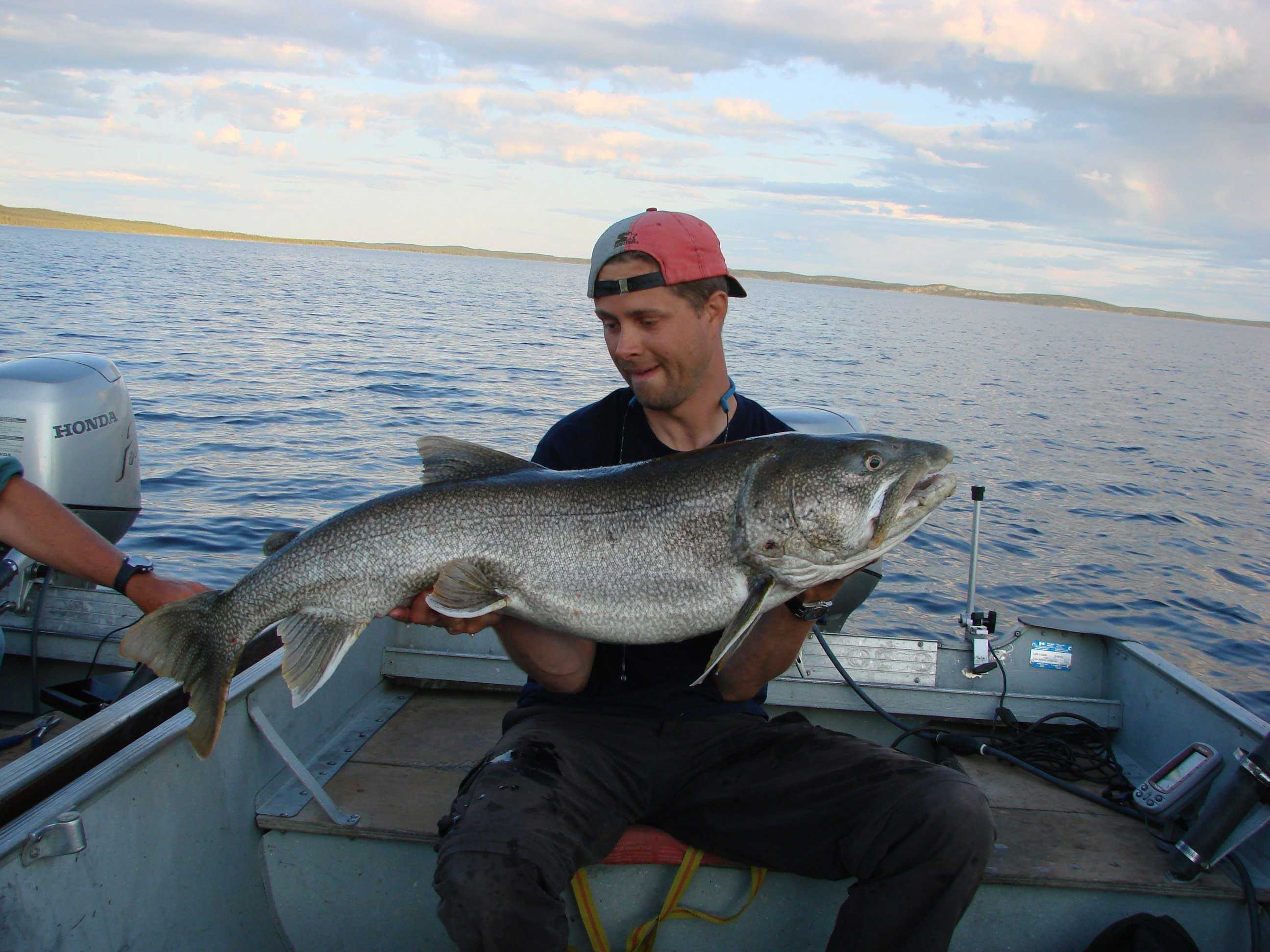 Nonacho_Lake_Fishing_Camp_Lake_trout_synco_45lbs